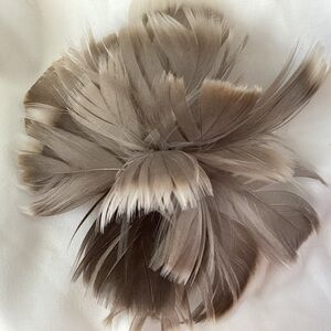 Petite Grayish brown Feather Fascinator Hair Clip, brooch pin. Hat clip